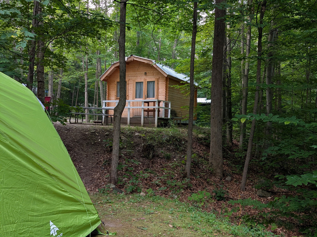 Manitoulin Eco Park-Tehkummah必去景点