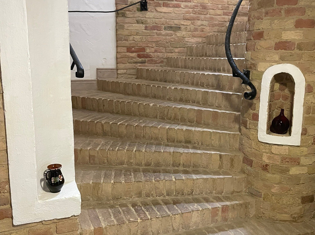 Halasi Pince Panzio主图