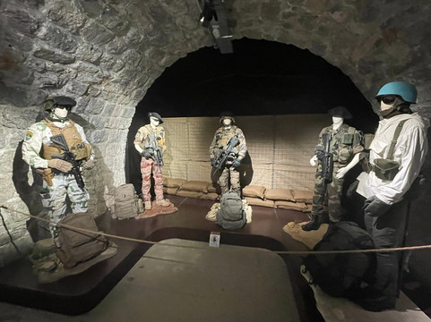 Musée des Troupes de Montagne-格勒诺布尔必去景点