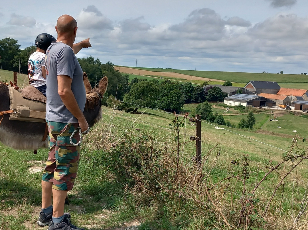 Anes et Co-Walcourt必去景点