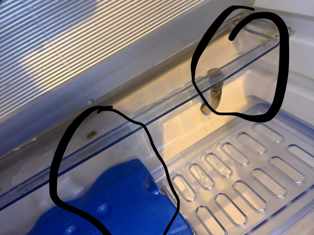 B&B Arcobaleno主图