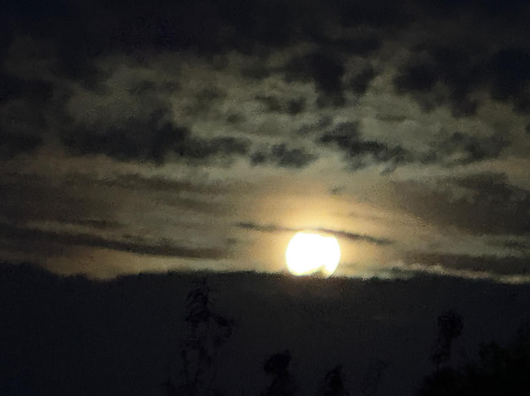 Au Coeur Des Hôtes主图