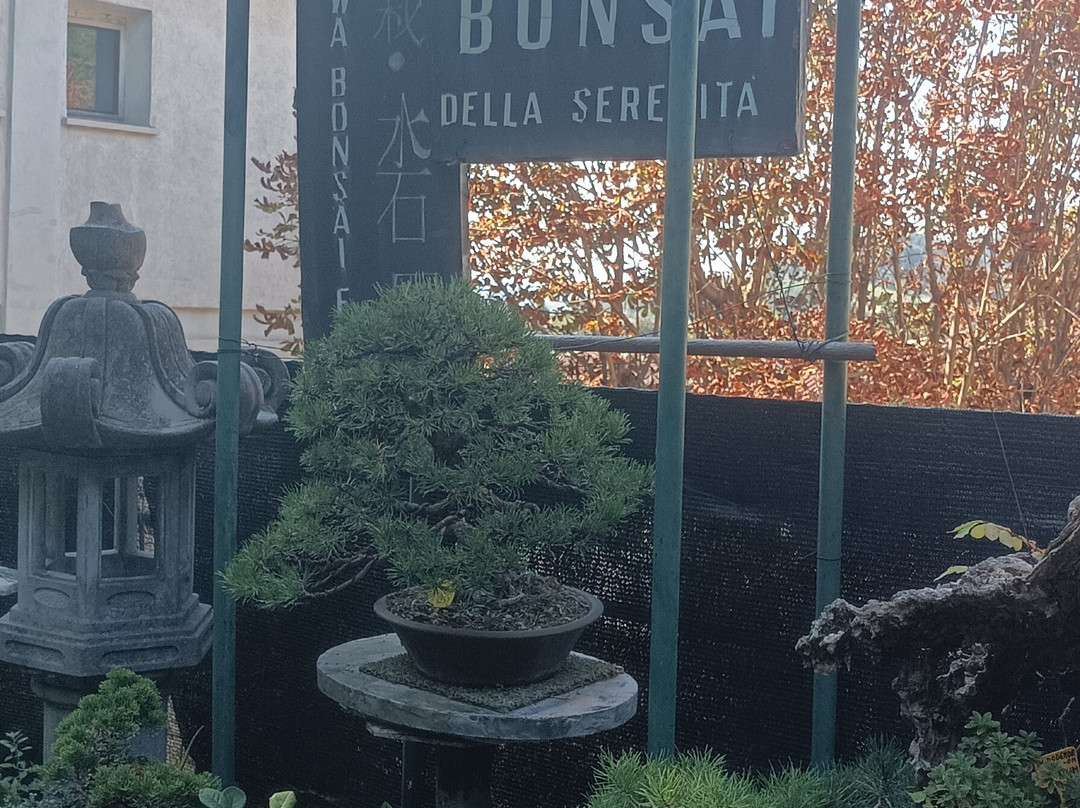 Giardino Museo Bonsai della Serenità-Tarzo必去景点