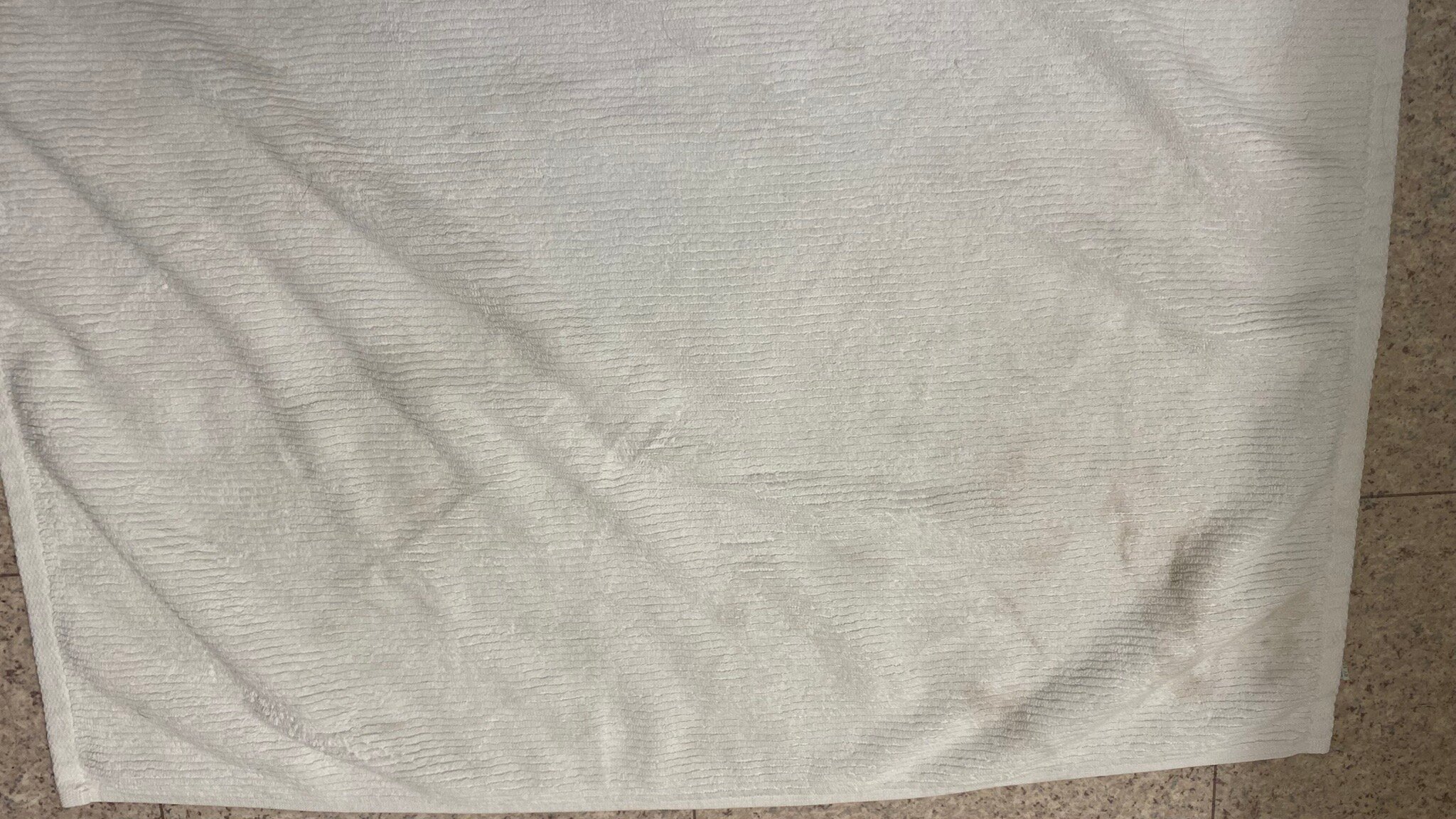 Cactus Tree Inn-官方