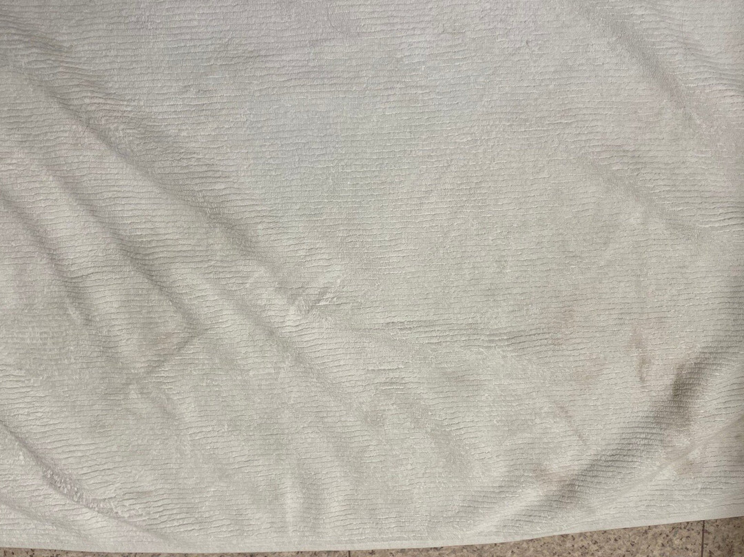 Cactus Tree Inn主图