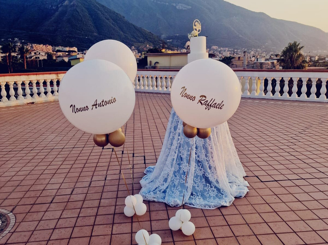 乐莎佳雷大酒店主图