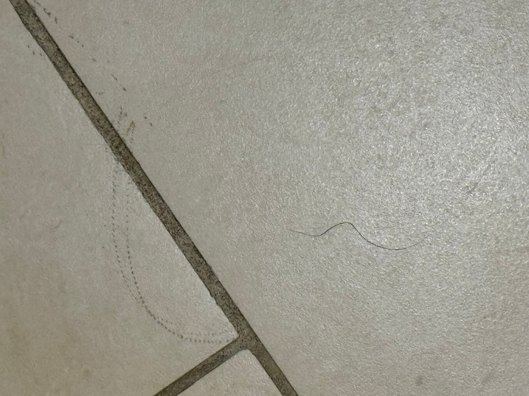 Hyatt Place Uncasville / Casino Area主图