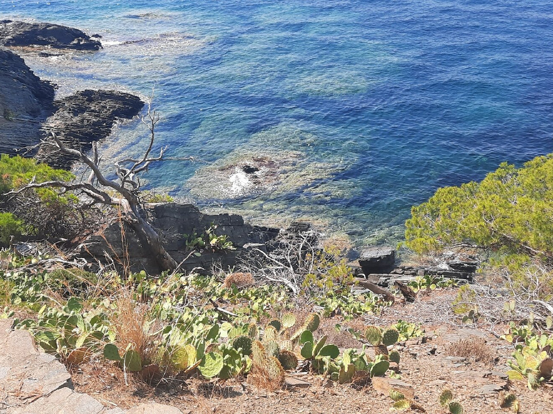 Plage de Vergeron-La Croix-Valmer必去景点