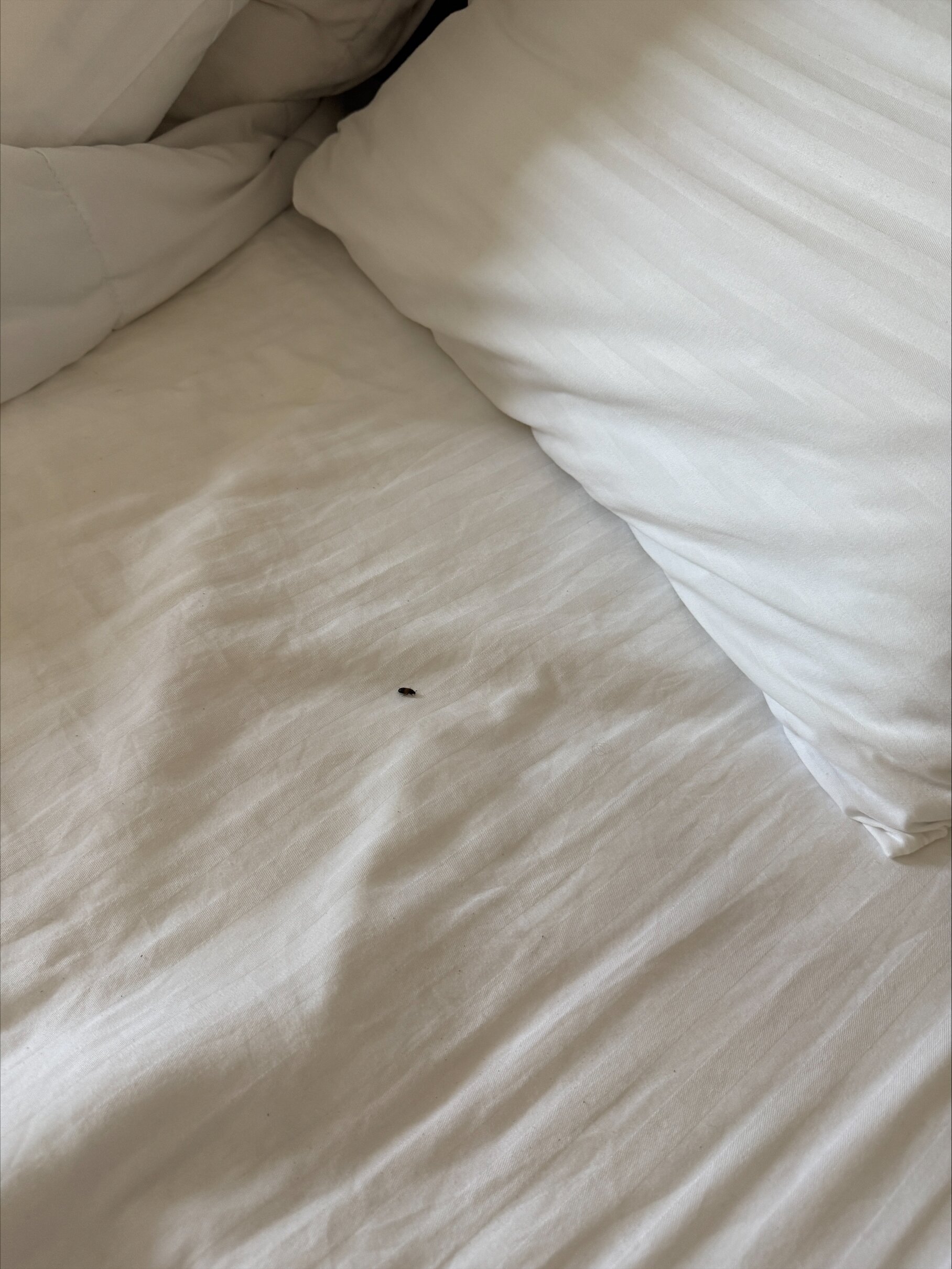 马龙套房酒店-客卧