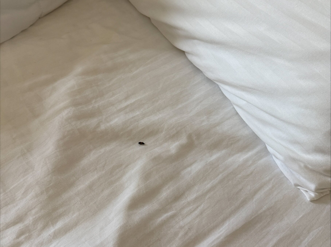 马龙套房酒店主图