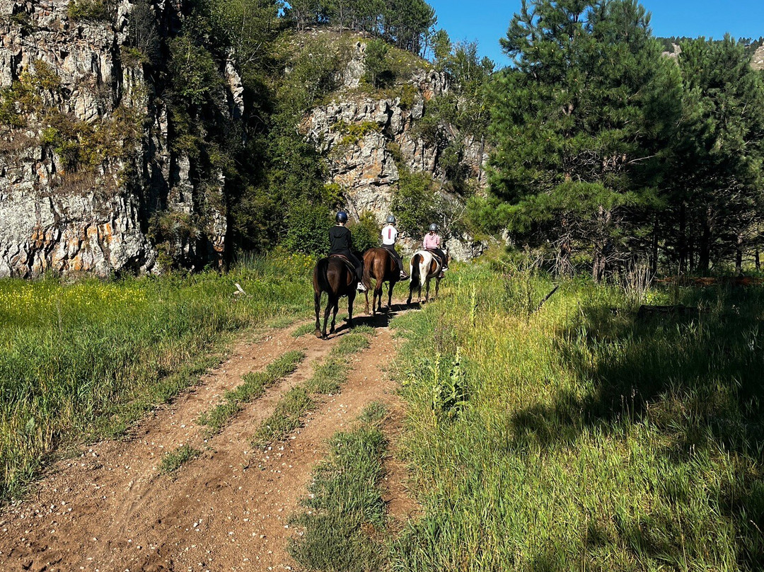 Blue Bell Stables-卡斯特必去景点
