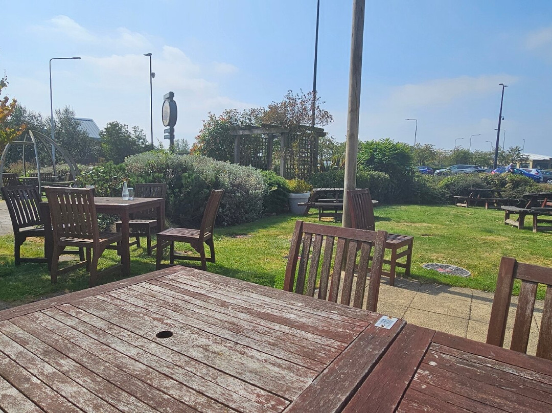 Sweet Chestnut主图