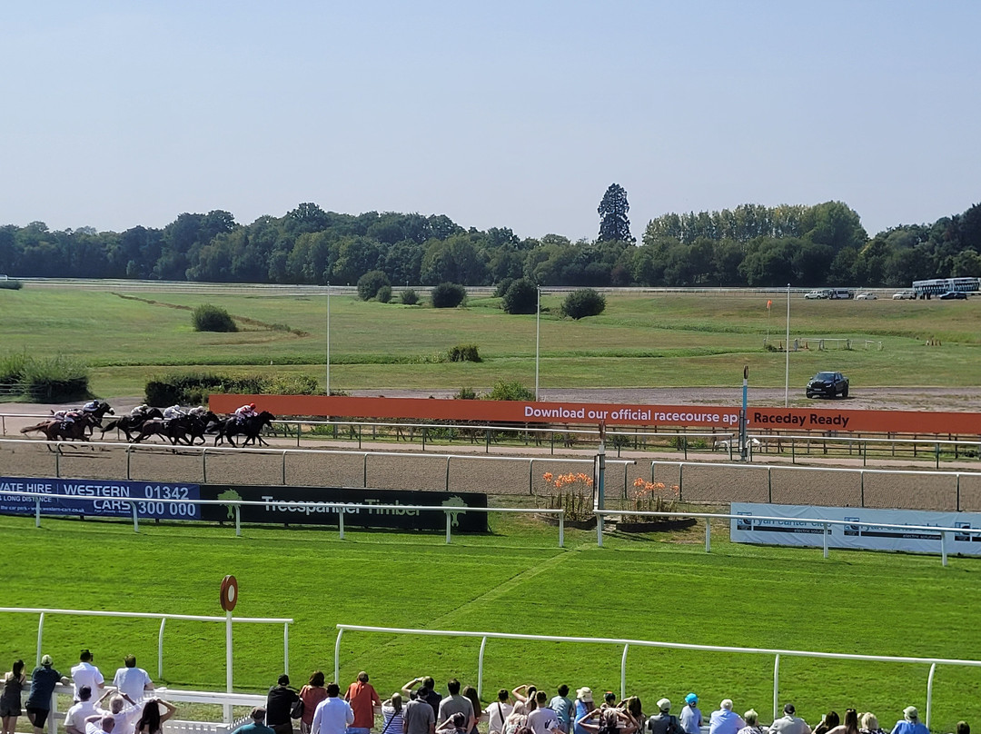 Lingfield Park Resort-Lingfield必去景点