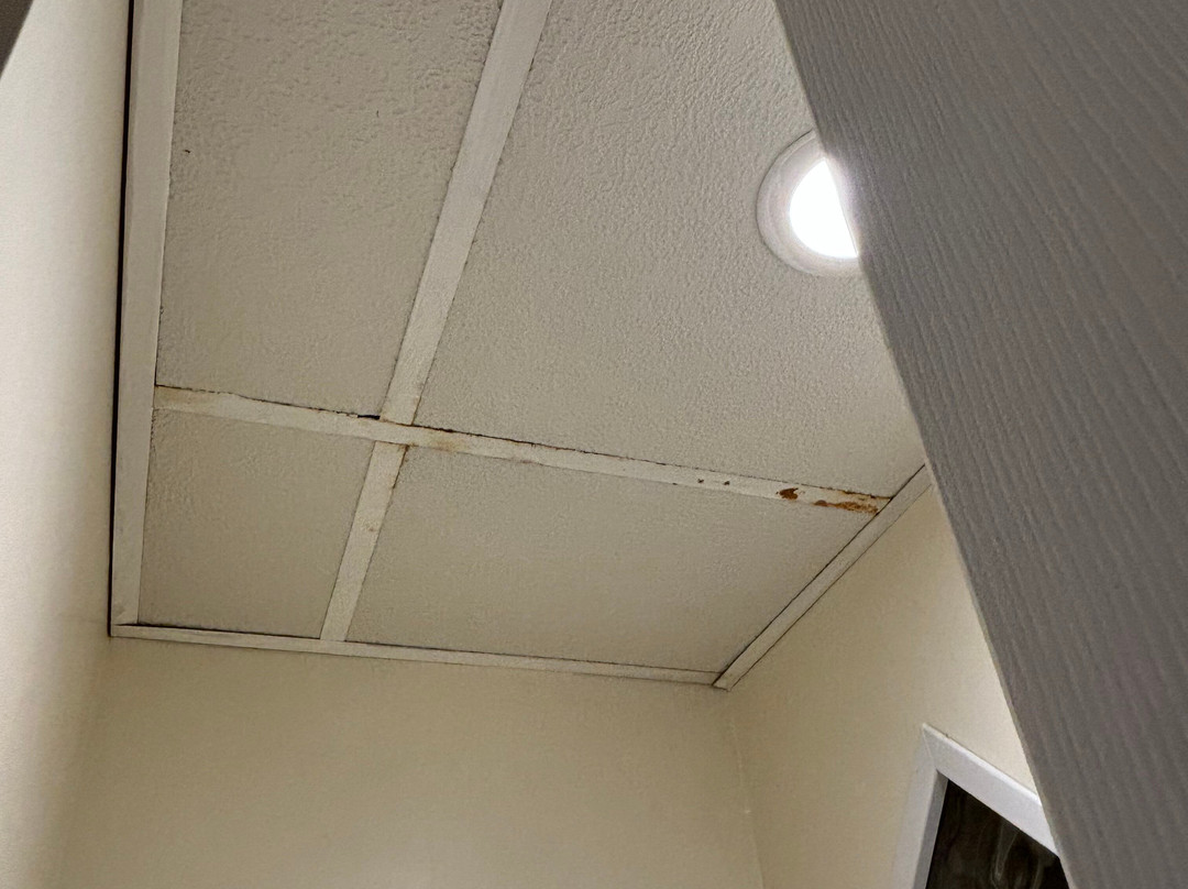 Sea Shell Motel主图