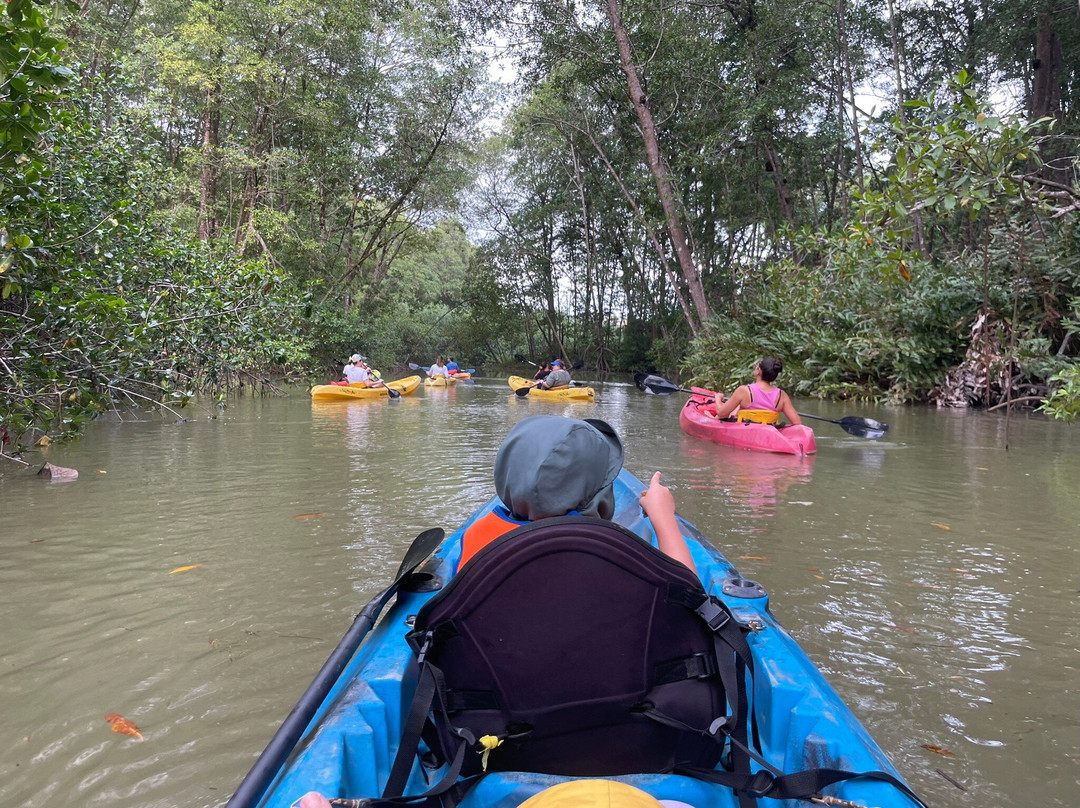 Pineapple Tours-主日镇必去景点