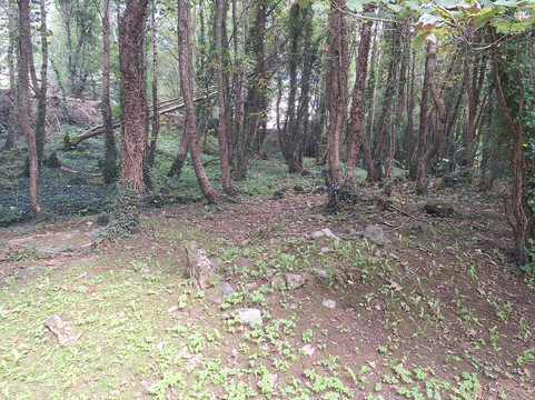 Clifden Historical Walking Tours-Clifden必去景点