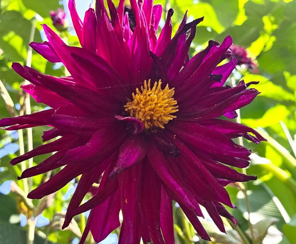 温切斯特磨坊-温彻斯特必去景点