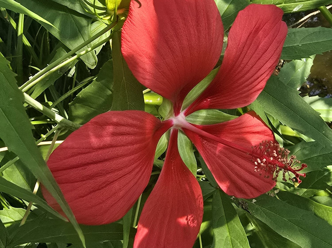 Latour-Marliac-Le Temple-sur-Lot必去景点
