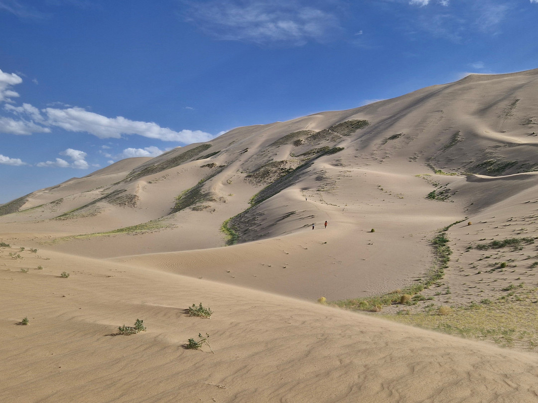 Selena Travel Mongolia-乌兰巴托必去景点
