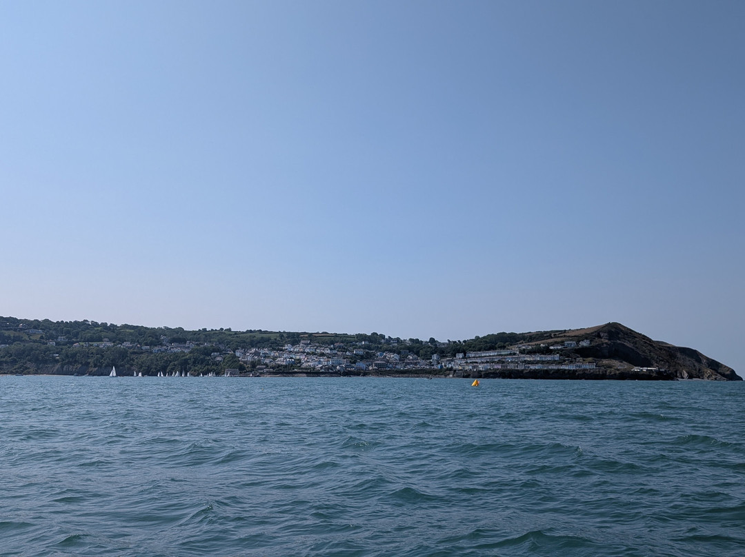 Dolphin Survey Boat Trips-纽基必去景点