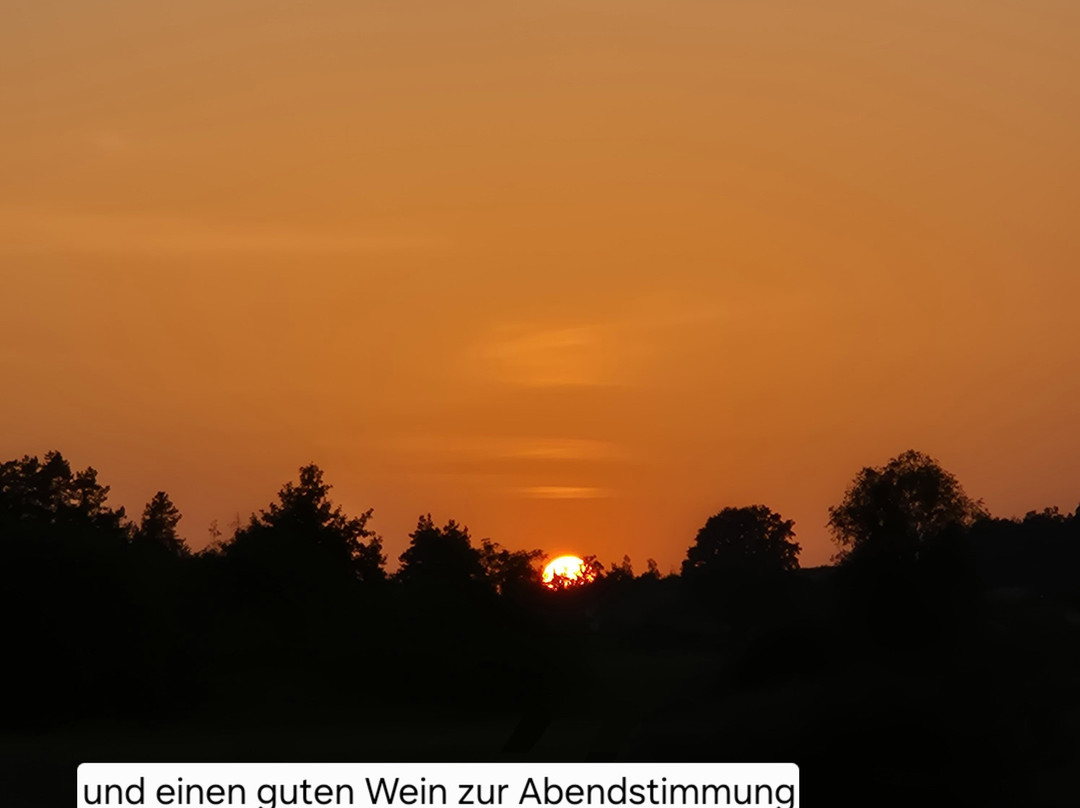 Weingut Inh. Jan Ulrich