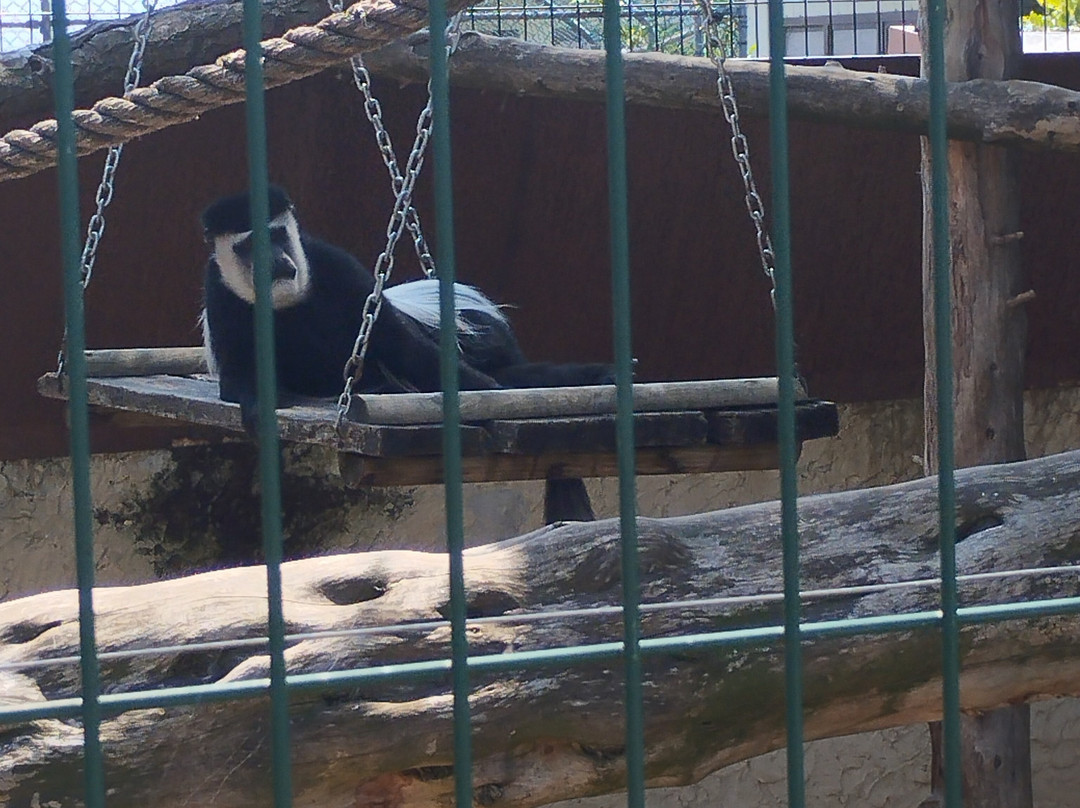 Zoo Delle Maitine-Pesco Sannita必去景点