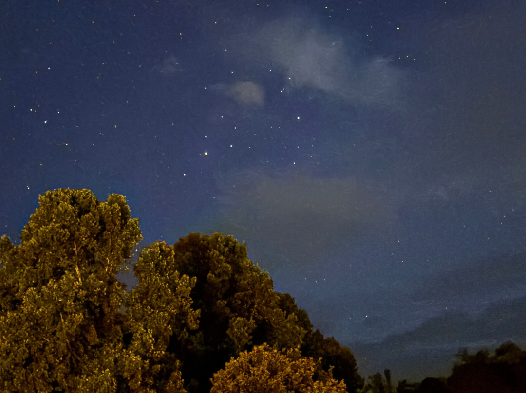 Arcady Vineyard Bed & Breakfast主图