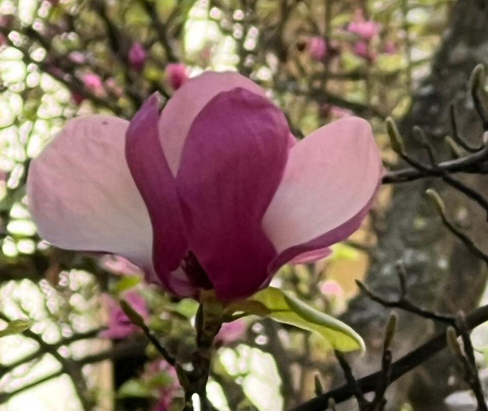 El Arribo Hotel主图