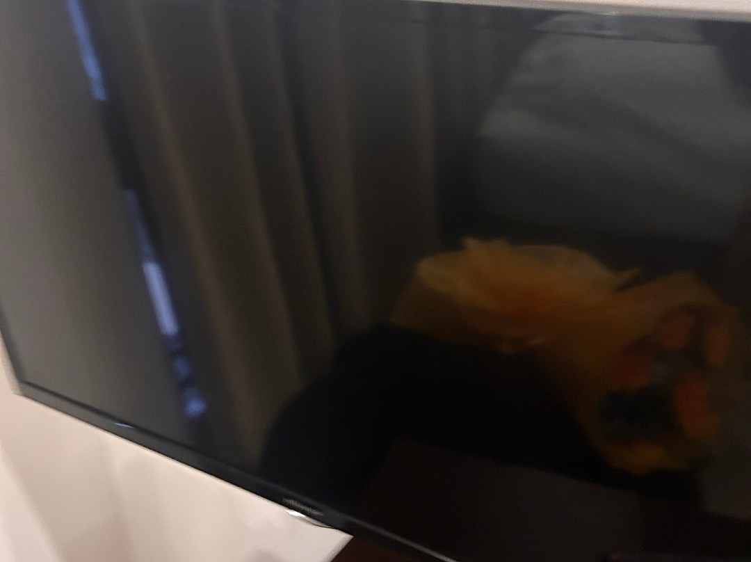 A Hotel Baguio主图