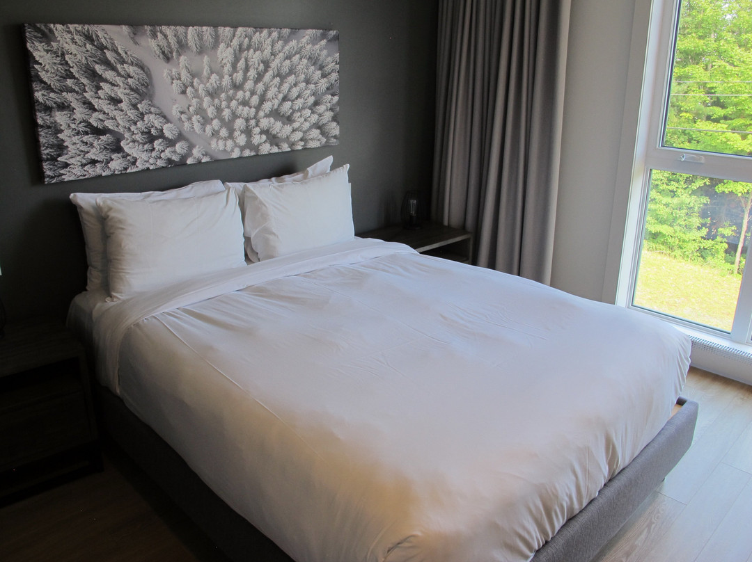 Les Caches De La Grande Pointe主图