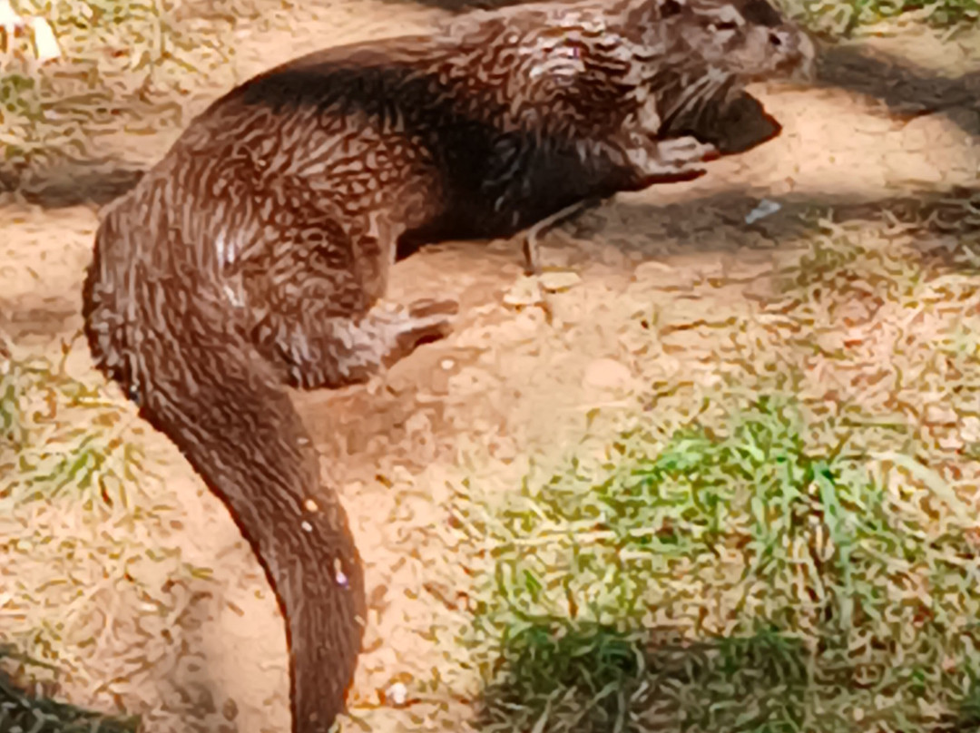 Zoodyssée-Villiers-en-Bois必去景点