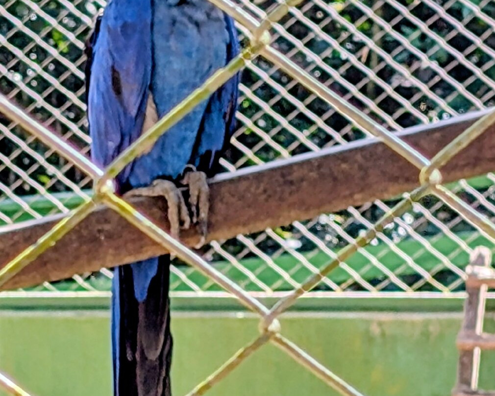 ZooFIT - Zoologico de Santarem-Santarem必去景点