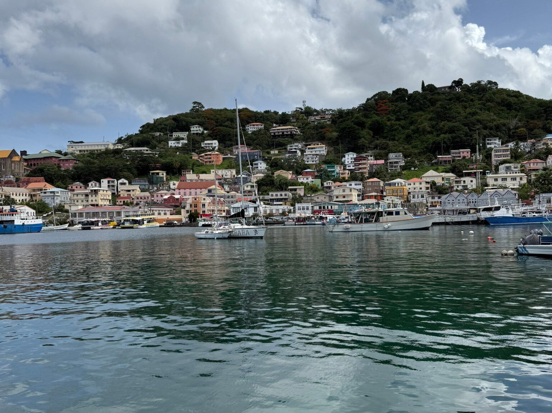 Ace Ventura Taxi & Tours-St. George's必去景点