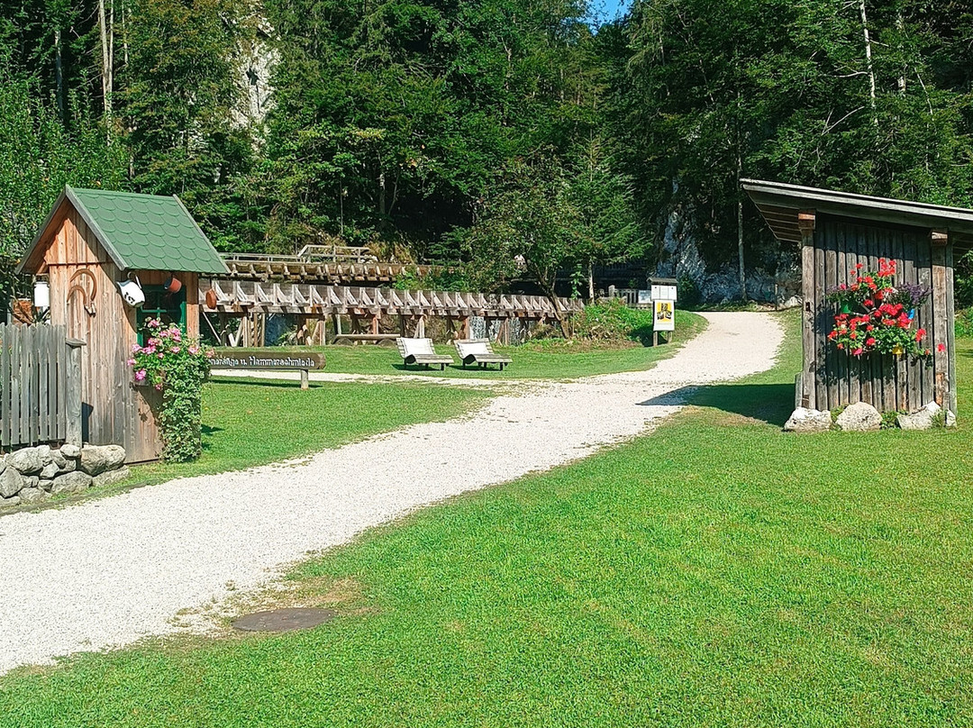 Erlebniswelt Mendlingtal-Gostling an der Ybbs必去景点