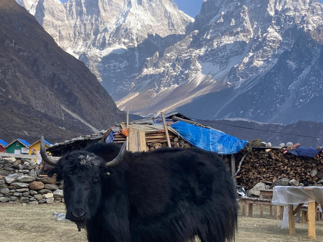 Sherpa Society Trekking-加德满都必去景点