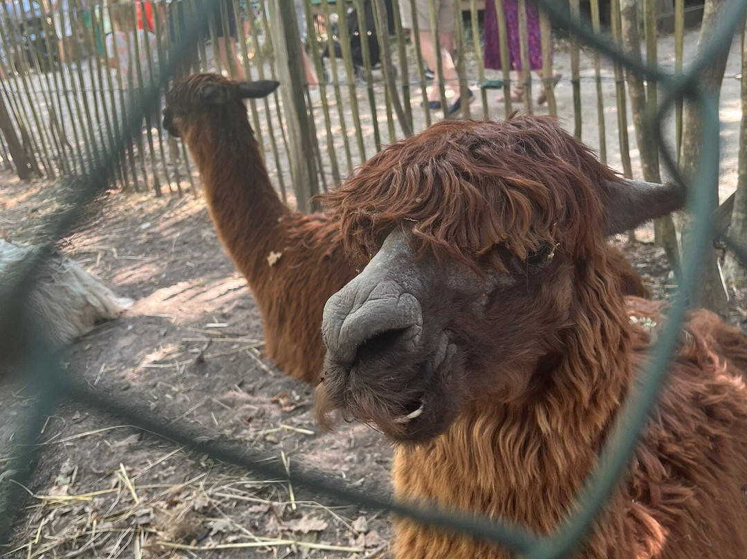 Le Parc Myocastors-Dolus-d'Oleron必去景点