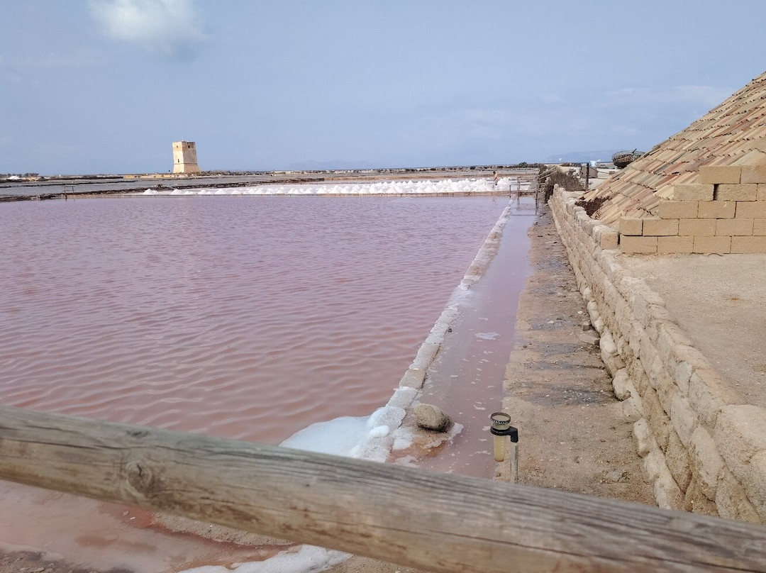 Riserva Naturale Saline Di Trapani E Paceco-特拉帕尼省必去景点