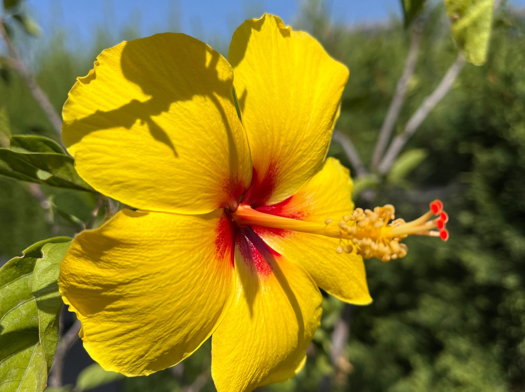 Finca Floretta主图