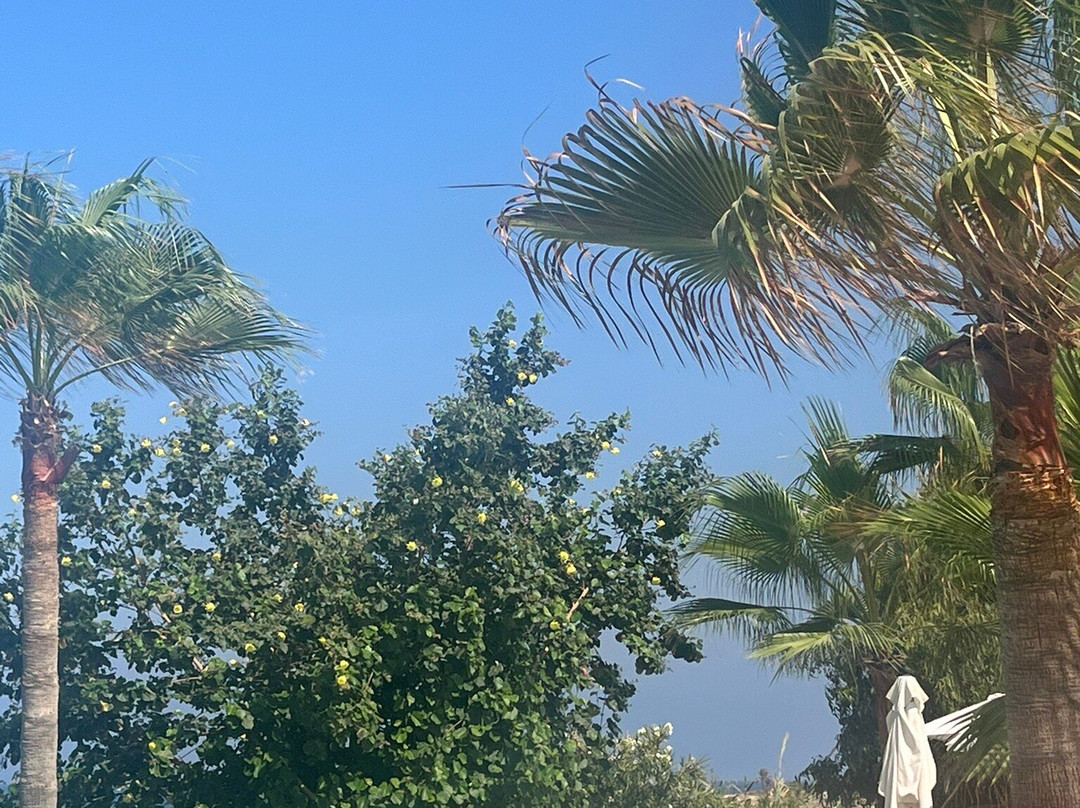 LAZY B BEACH CLUB-Jiyeh必去景点