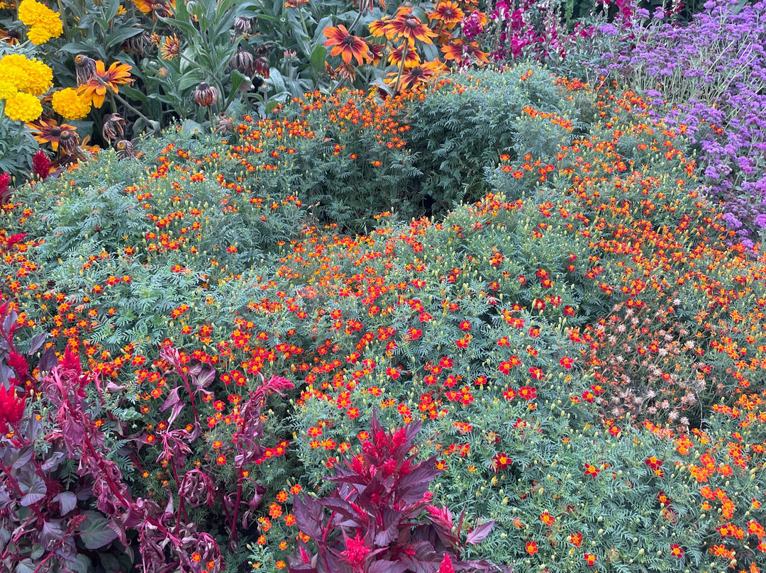 Aston Pottery-Aston必去景点