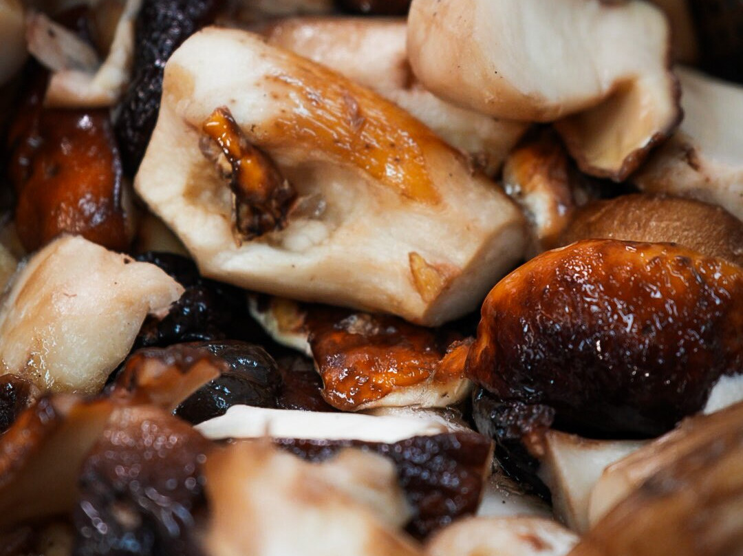 Gartenhotel Maria Theresia主图