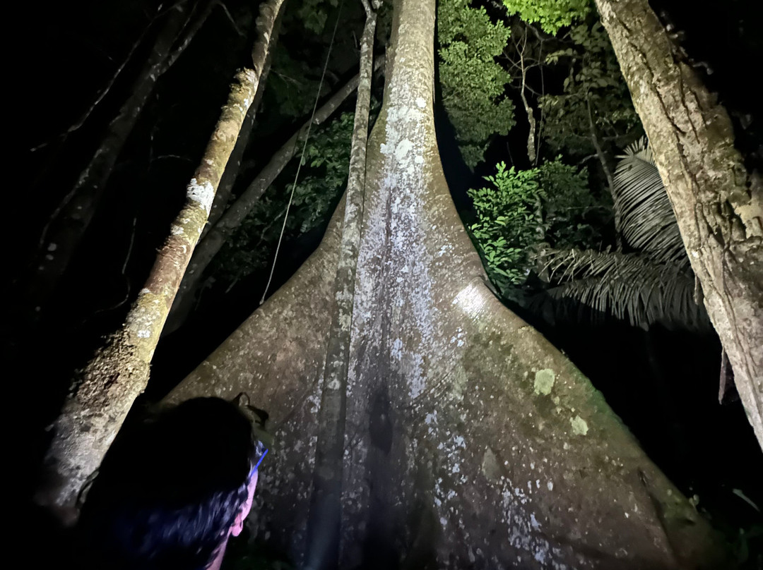 Amazon Fronteras Jungle Tours-莱蒂西亚必去景点