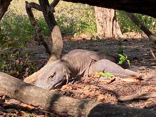 Butik Trip - Day Tours-雅加达必去景点
