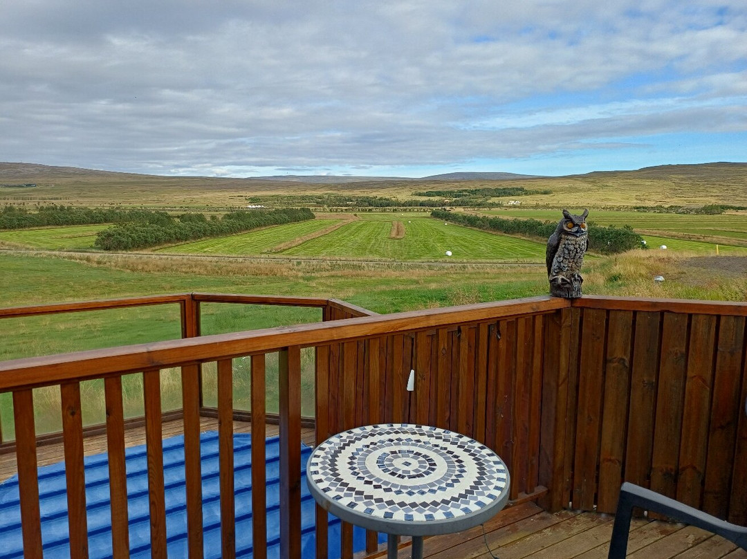 Steindorsstadir Guesthouse主图