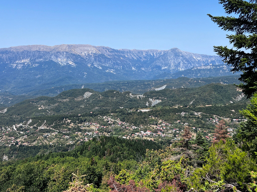 Drymon酒店住宿-Guesthouse Kypseli