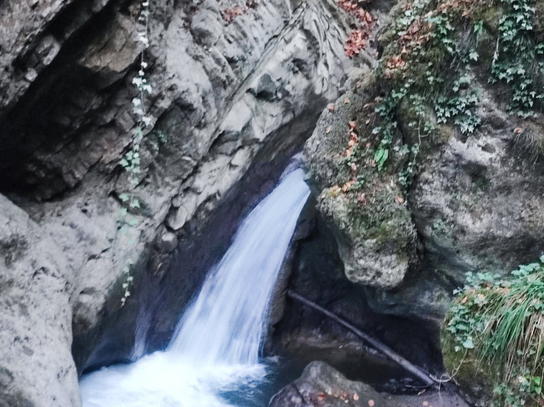 Wilderness-Rotonda必去景点