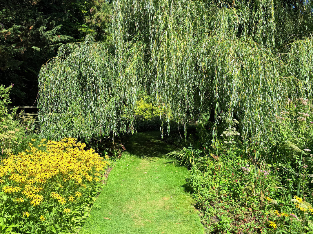 Gooderstone Water Gardens & Nature Trails-金斯林必去景点