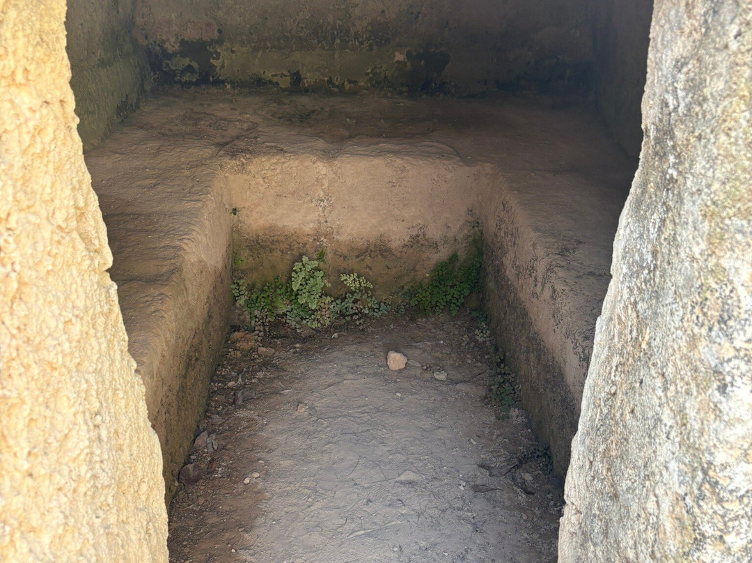 Makronissos Tombs-阿依纳帕必去景点