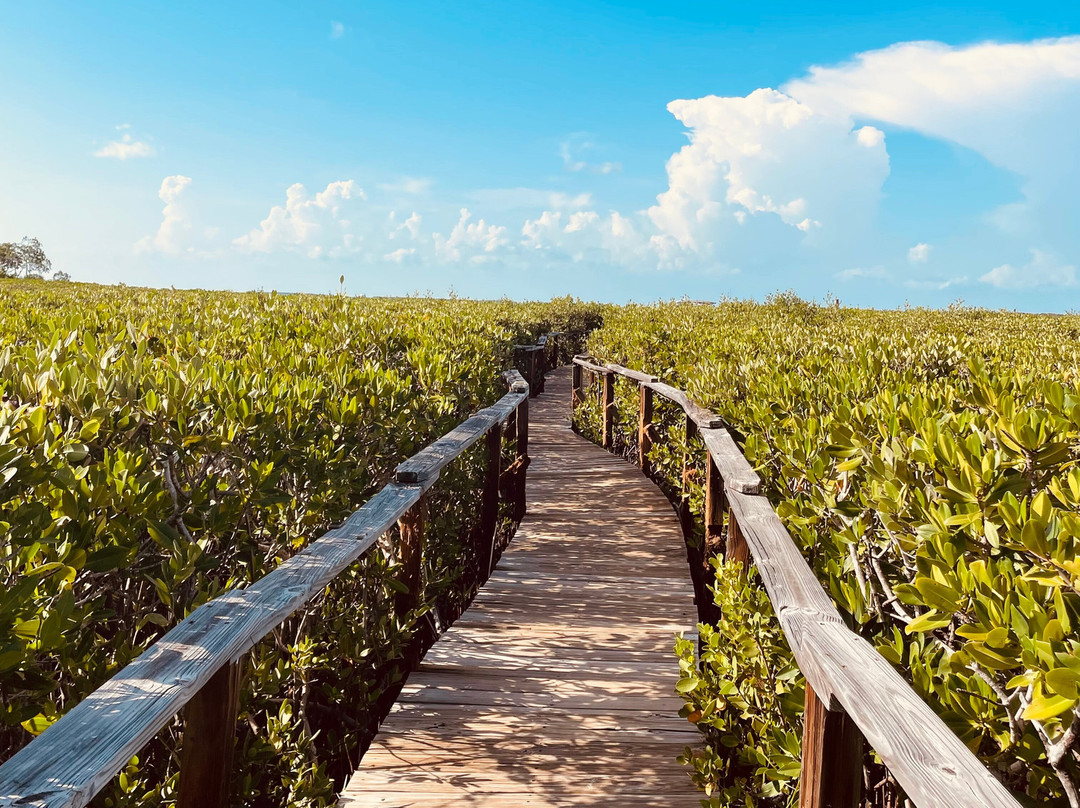 Ocean View Inn and Sports Pub主图