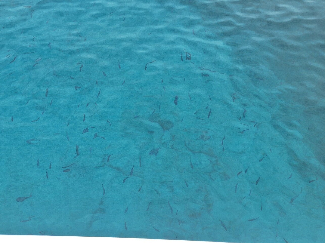 Easybook - Kostas Boat Trips-Agios Georgios必去景点